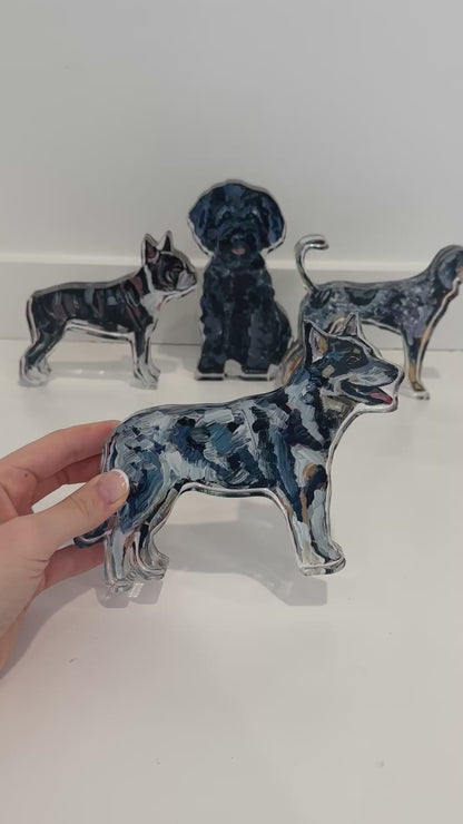 "Blue Heeler" acrylic