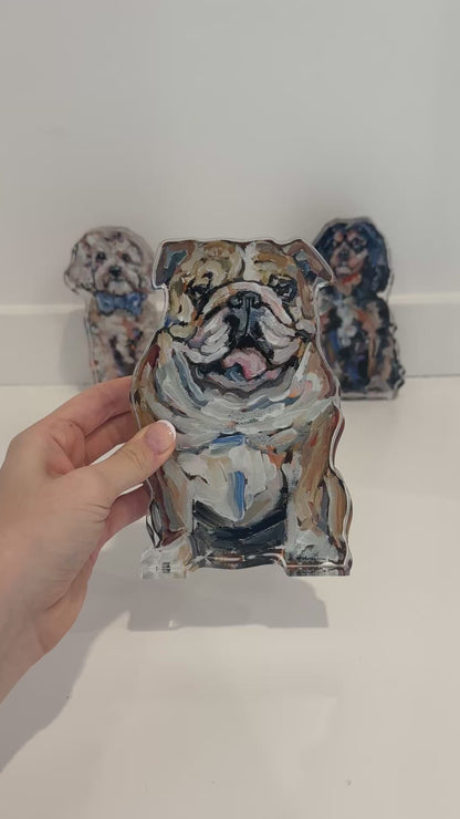 "Bulldog Fawn & White" acrylic