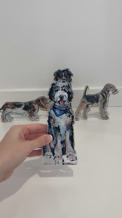 "Bernedoodle with blue bandana" acrylic