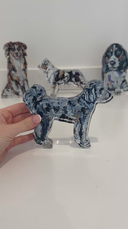 "Aussiedoodle standing" acrylic