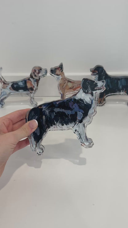 "Border Collie" acrylic