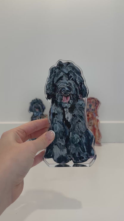"Goldendoodle Black Shaggy" acrylic