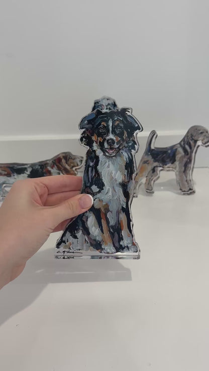 "Australian Shepherd Black & White Tri" acrylic