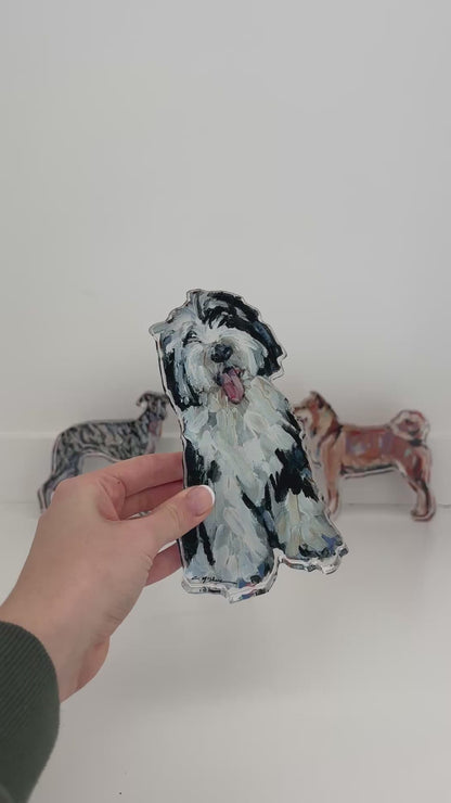 "Sheepadoodle II" acrylic