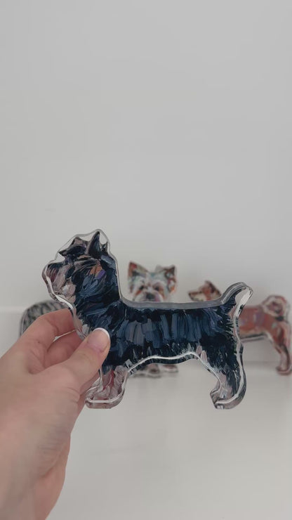 "Yorkie Black & Tan" acrylic