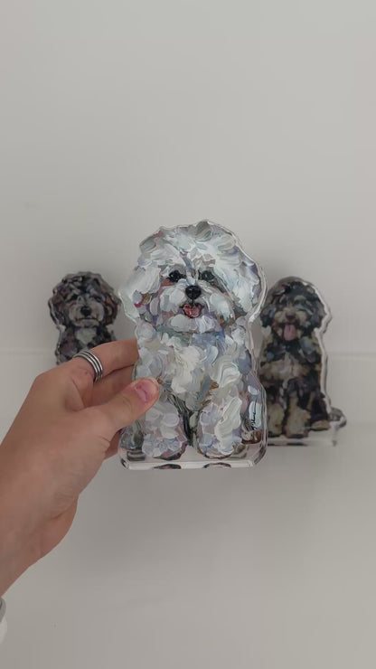 "Bichon Frise" acrylic