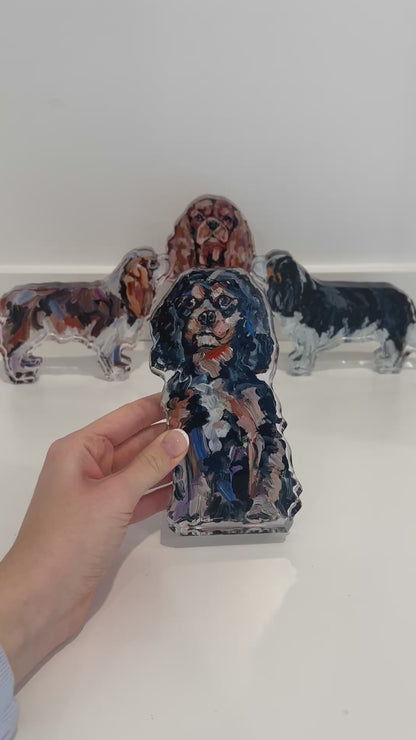 "Cavalier King Charles B/T" acrylic