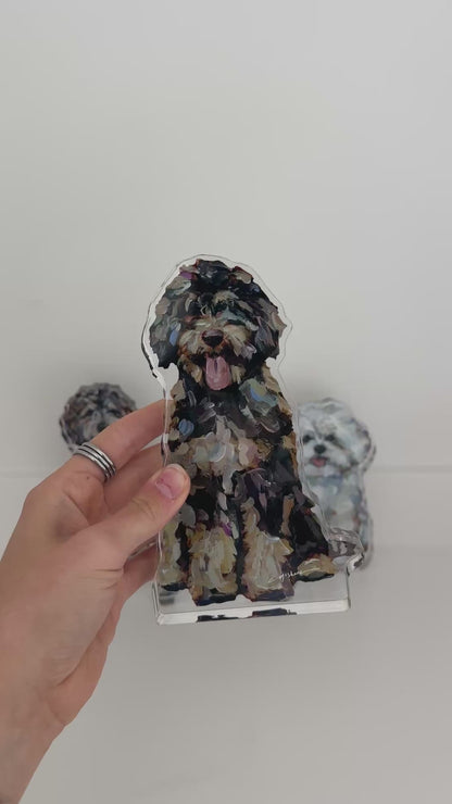 "Bernedoodle chocolate" acrylic