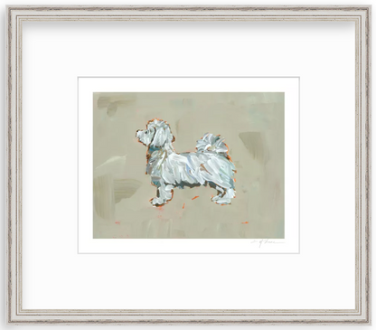 Maltese Short Haired Fine Art Print