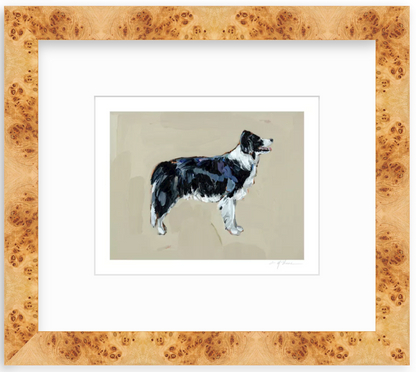 Border Collie Fine Art Print