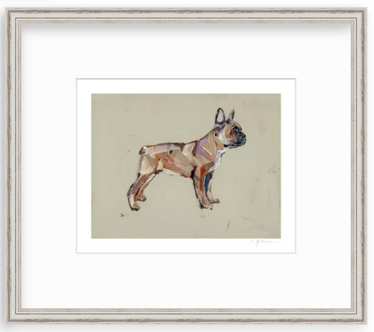 French Bulldog Fine Art Print