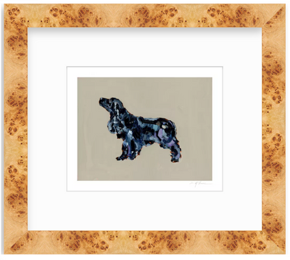 Black Cocker Spaniel Fine Art Print
