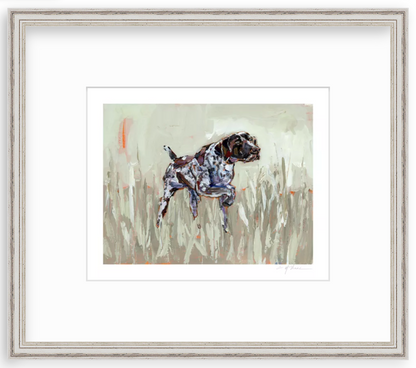 German Shorthaired Pointer Fine Art Print
