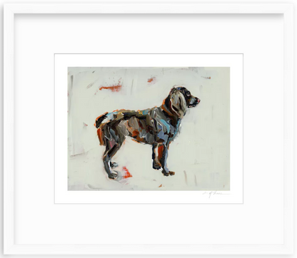 Boykin Spaniel Dog Fine Art Print