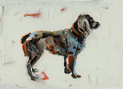 Boykin Spaniel Dog Fine Art Print
