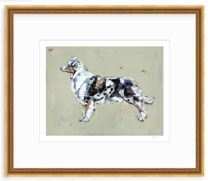 Australian Shepherd Fine Art Print