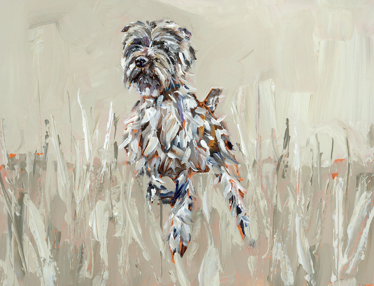 "Wirehaired Pointing Griffon" on paper