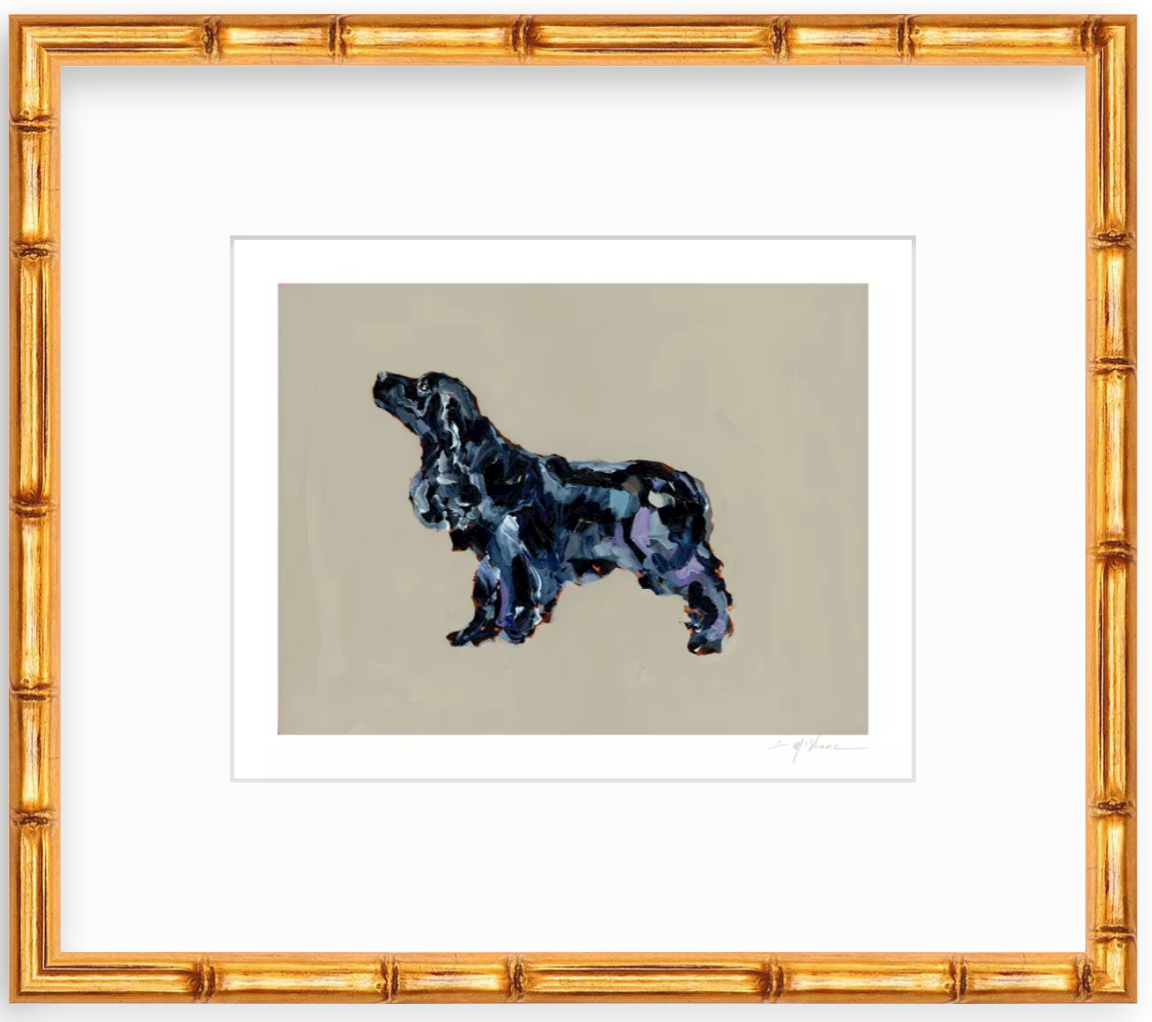 "Black Cocker Spaniel" on paper