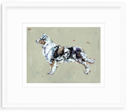 Australian Shepherd Fine Art Print