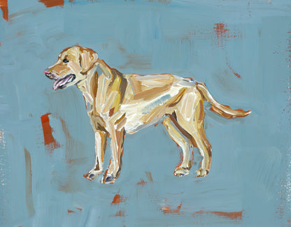 Yellow Lab Fine Art Print