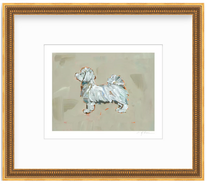 Maltese Short Haired Fine Art Print