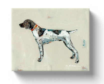 German Shorthaired Pointer II