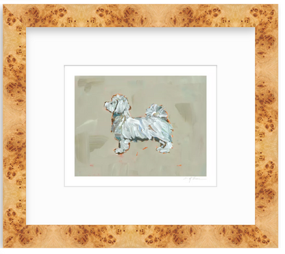 Maltese Short Haired Fine Art Print