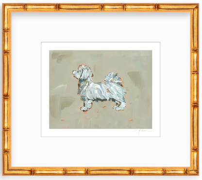 Maltese Short Haired Fine Art Print