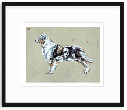 Australian Shepherd Fine Art Print