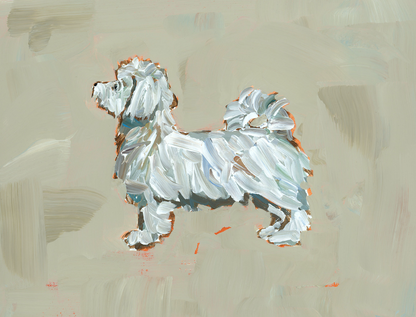 Maltese Short Haired Fine Art Print