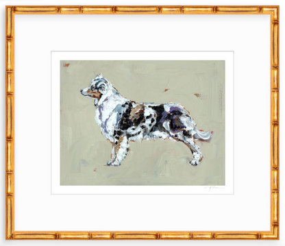 Australian Shepherd Fine Art Print