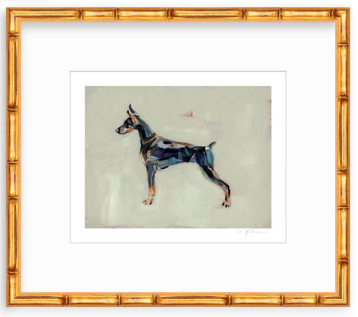 Doberman