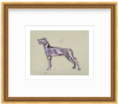 Weimaraner Fine Art Print