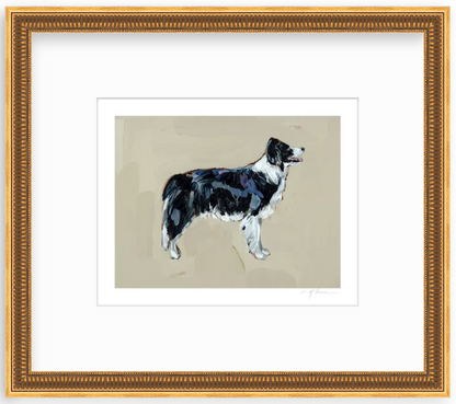 Border Collie Fine Art Print