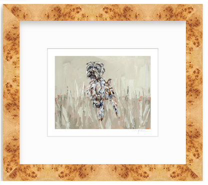 Wirehaired Pointing Griffon Fine Art Print