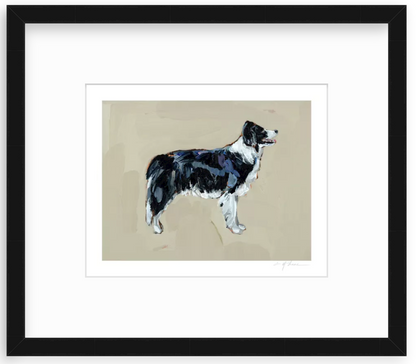 Border Collie Fine Art Print