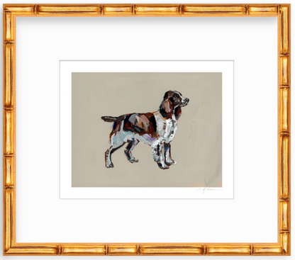 English Springer Spaniel Fine Art Print