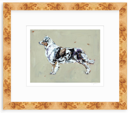 Australian Shepherd Fine Art Print