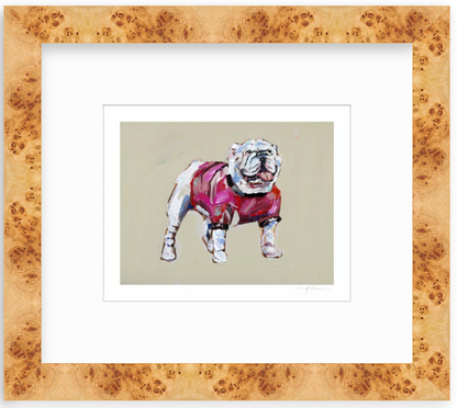 Bulldog Red Shirt Fine Art Print