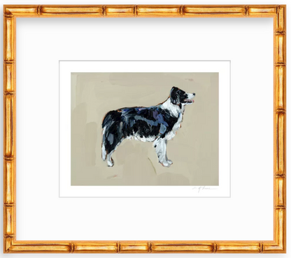 Border Collie Fine Art Print