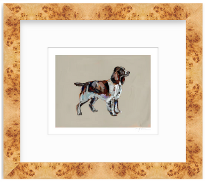 English Springer Spaniel Fine Art Print