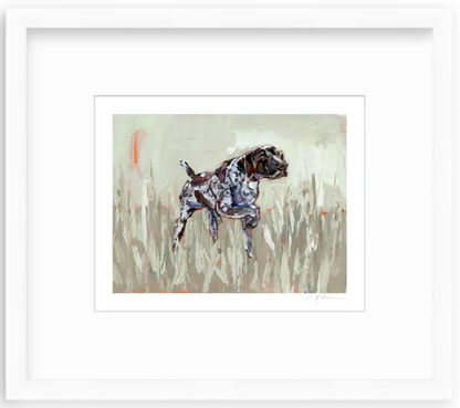 German Shorthaired Pointer Fine Art Print