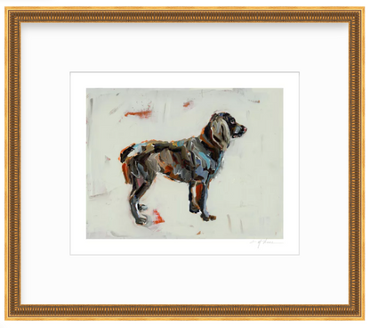 Boykin Spaniel Dog Fine Art Print