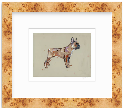 French Bulldog Fine Art Print