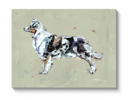 Australian Shepherd Fine Art Print
