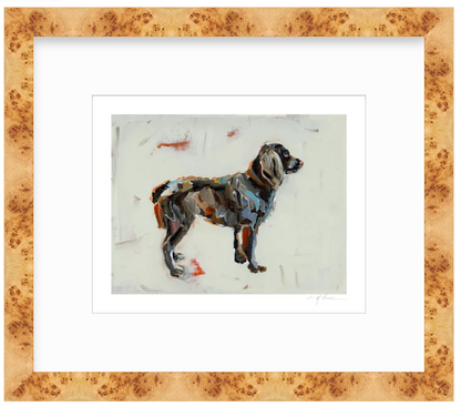 Boykin Spaniel Dog Fine Art Print