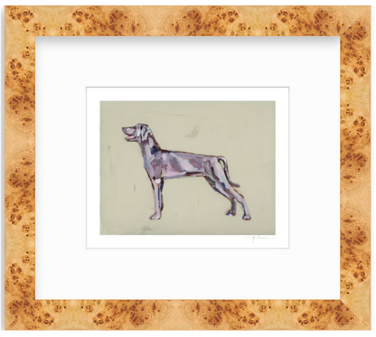 Weimaraner Fine Art Print