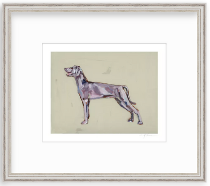 Weimaraner Fine Art Print