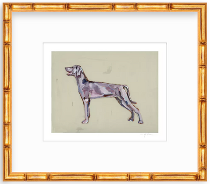 Weimaraner Fine Art Print