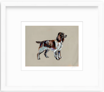 English Springer Spaniel Fine Art Print